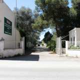 Per visitarla per� � necessario raggiungerla dal fianco sinistro dopo aver percorso un viale sterrato circondato da palme, pini, cipressi e ligustri